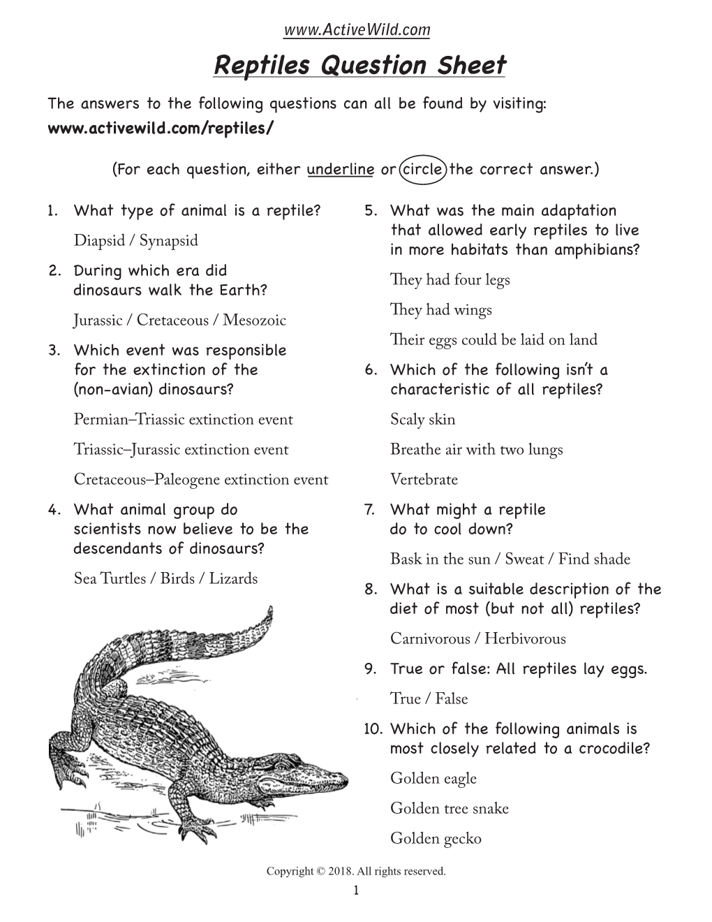 Reptiles Question Sheet the Answers to the Following Questions Can All Be Found by Visiting