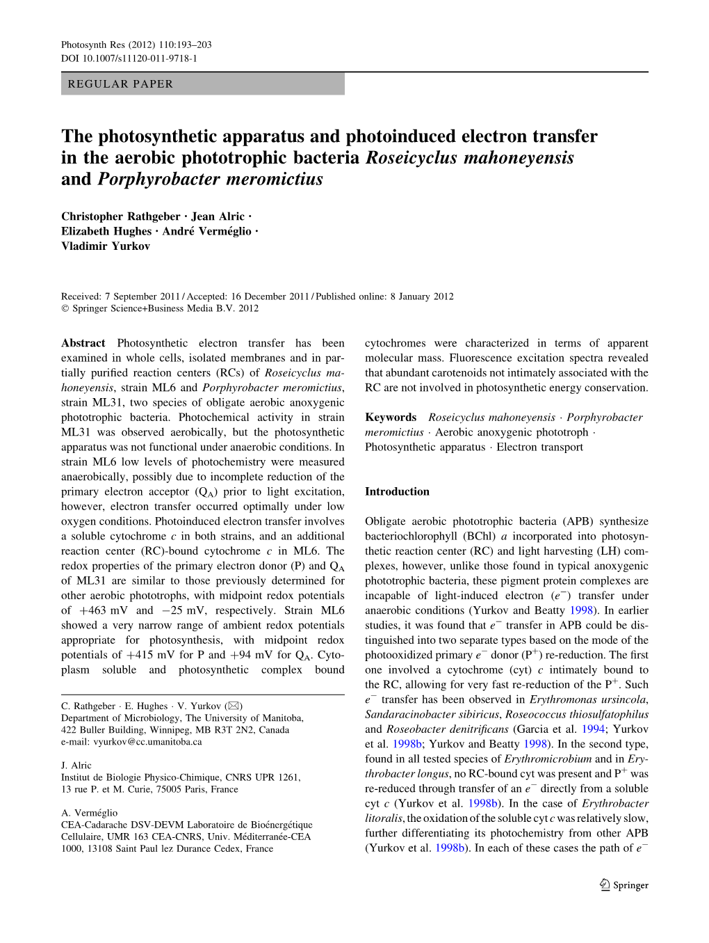 The Photosynthetic Apparatus and Photoinduced Electron Transfer in the Aerobic Phototrophic Bacteria Roseicyclus Mahoneyensis and Porphyrobacter Meromictius