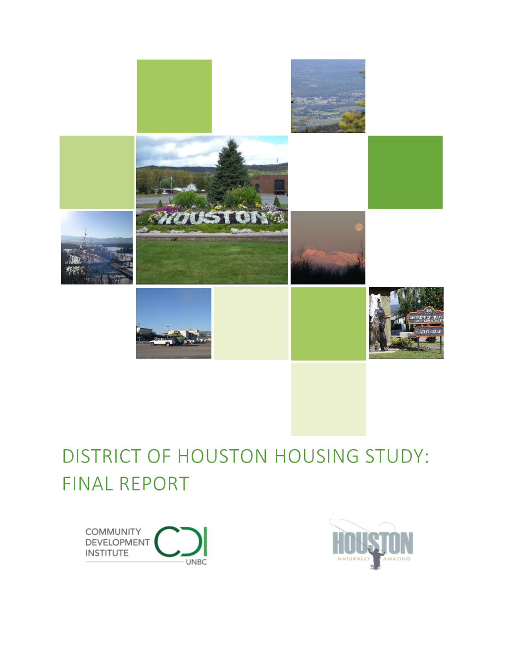 District of Houston Housing Study: Final Report
