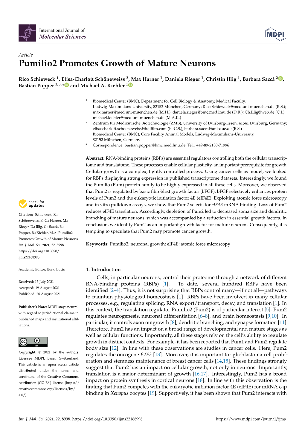 Pumilio2 Promotes Growth of Mature Neurons