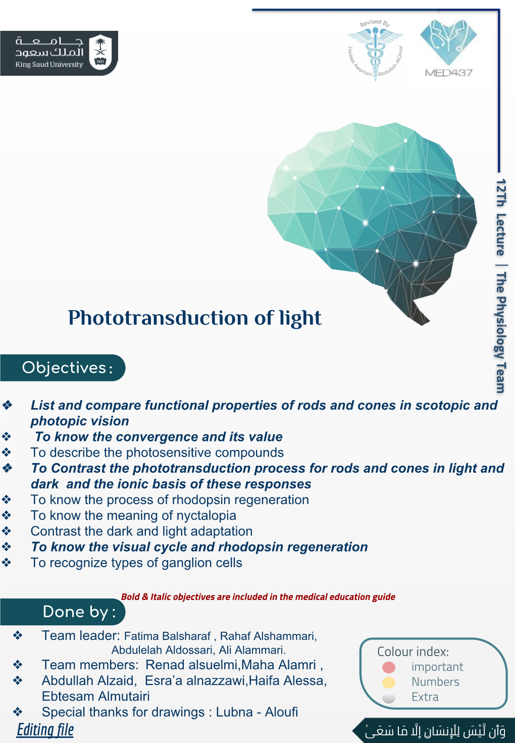 Phototransduction of Light