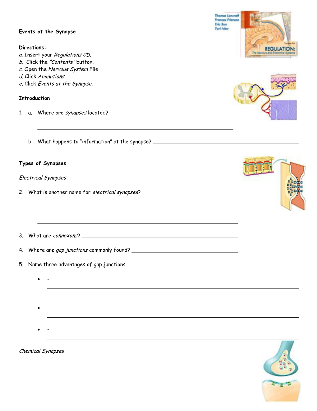 Endocrine System: Overview s4