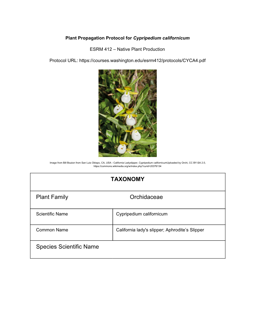 TAXONOMY Plant Family Orchidaceae Species Scientific Name