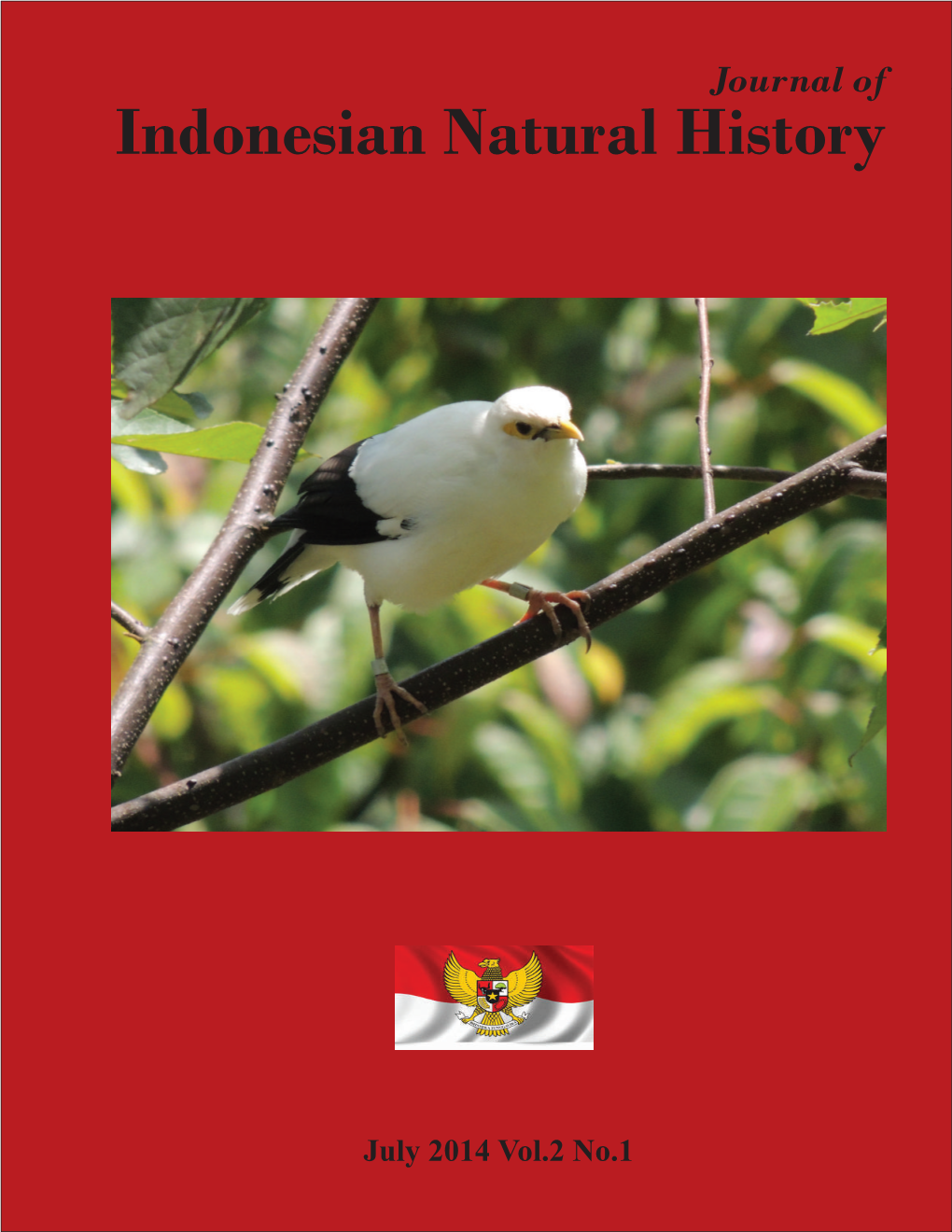 Genetic Diversity of Macaca Fascicularis (Cercopithecidae) from Penang, Malaysia As Inferred from Mitochondrial Control Region Segment J.J