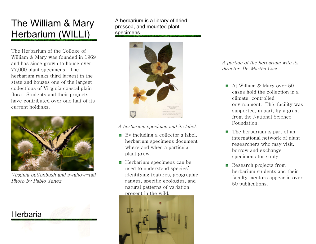 The Herbarium at the College of William and Mary Houses Over 73,000 Pressed Plant Specimens