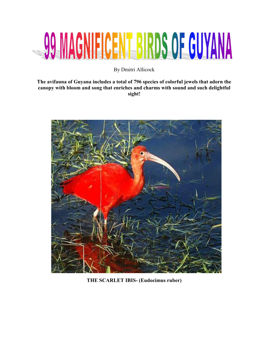99 Magnificent Birds of Guyana