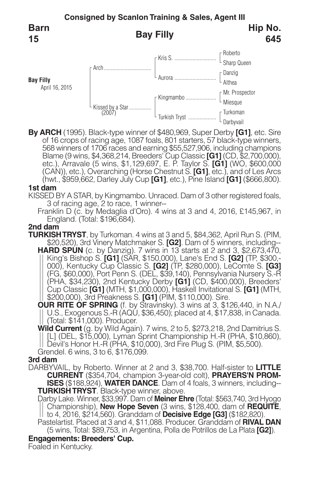 Bay Filly Barn 15 Hip No