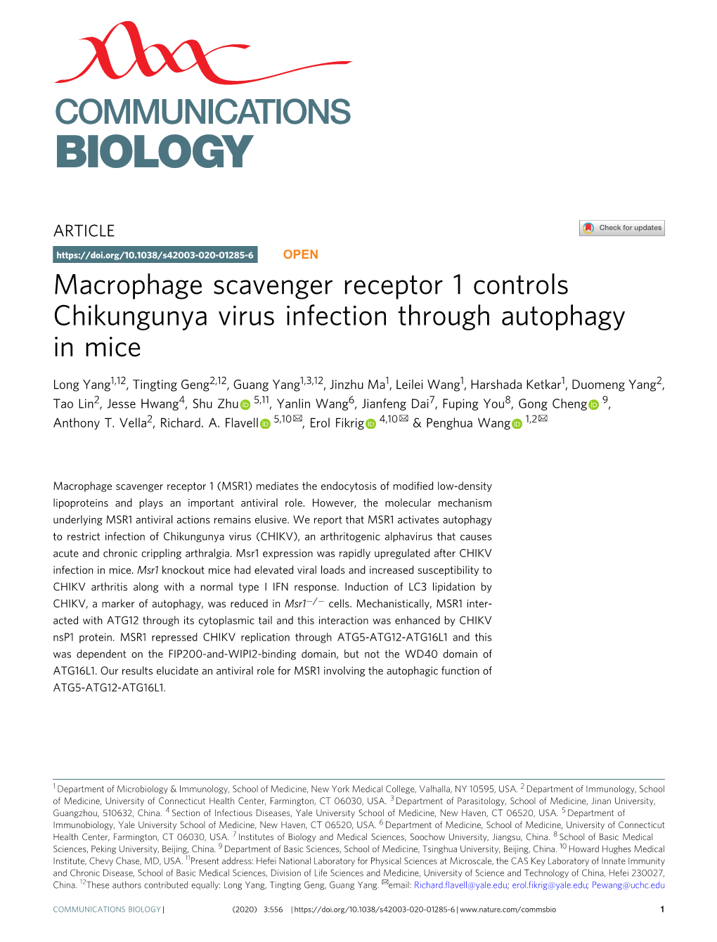 Macrophage Scavenger Receptor 1 Controls Chikungunya Virus Infection Through Autophagy in Mice