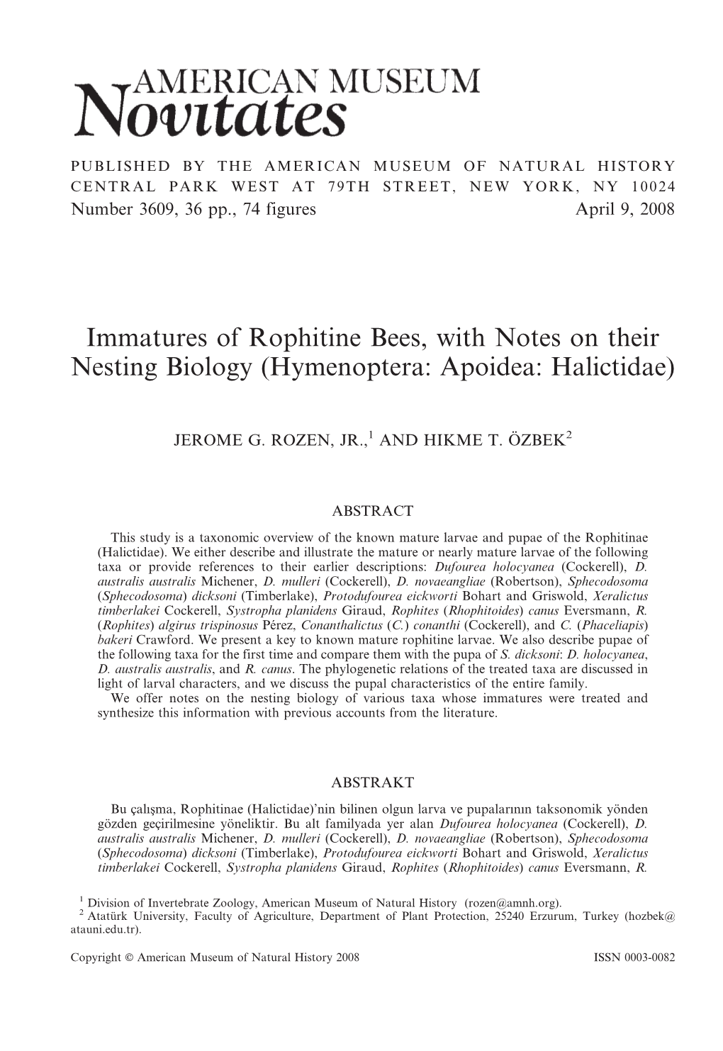 Immatures of Rophitine Bees, with Notes on Their Nesting Biology (Hymenoptera: Apoidea: Halictidae)