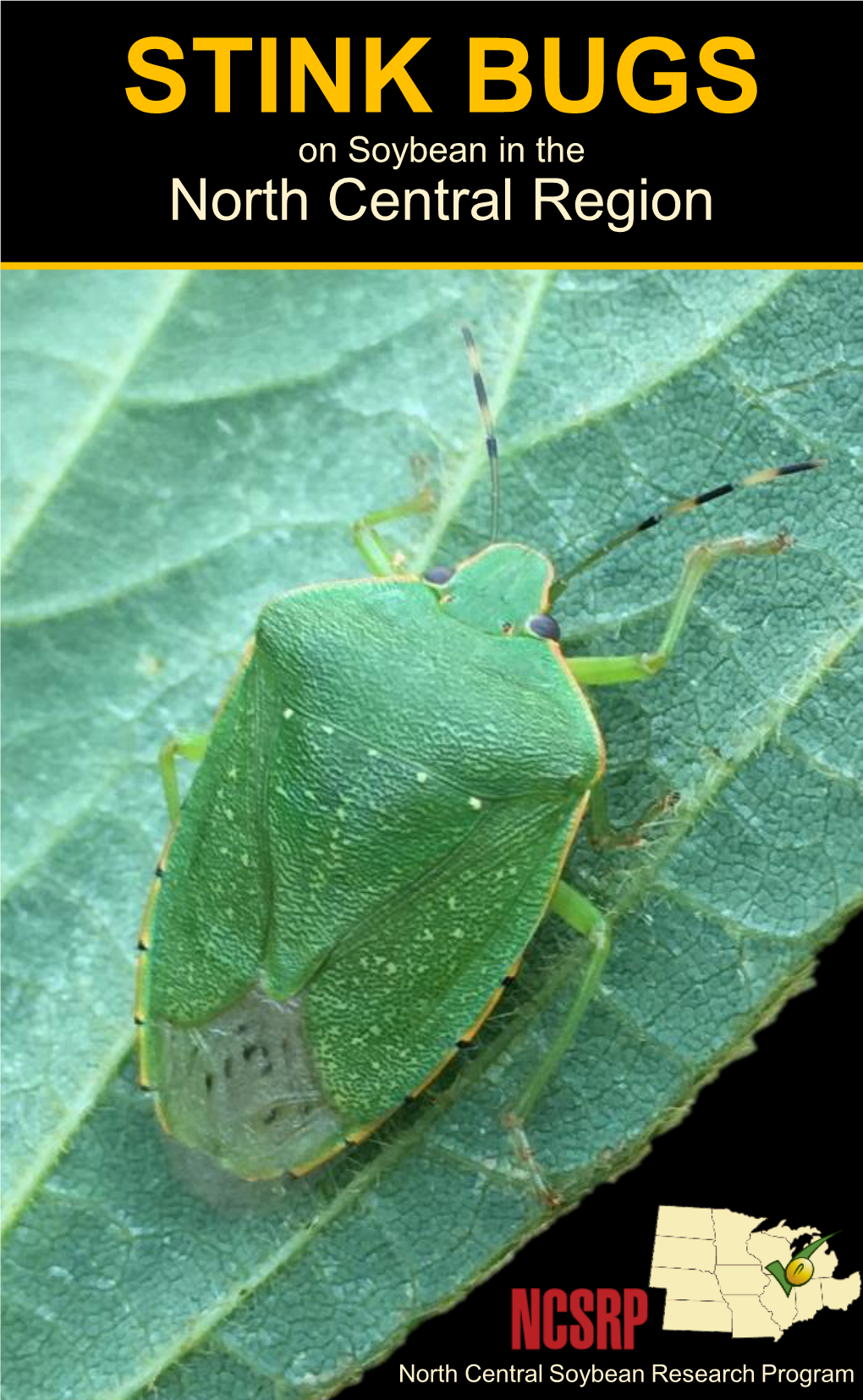 STINK BUGS on Soybean in the North Central Region