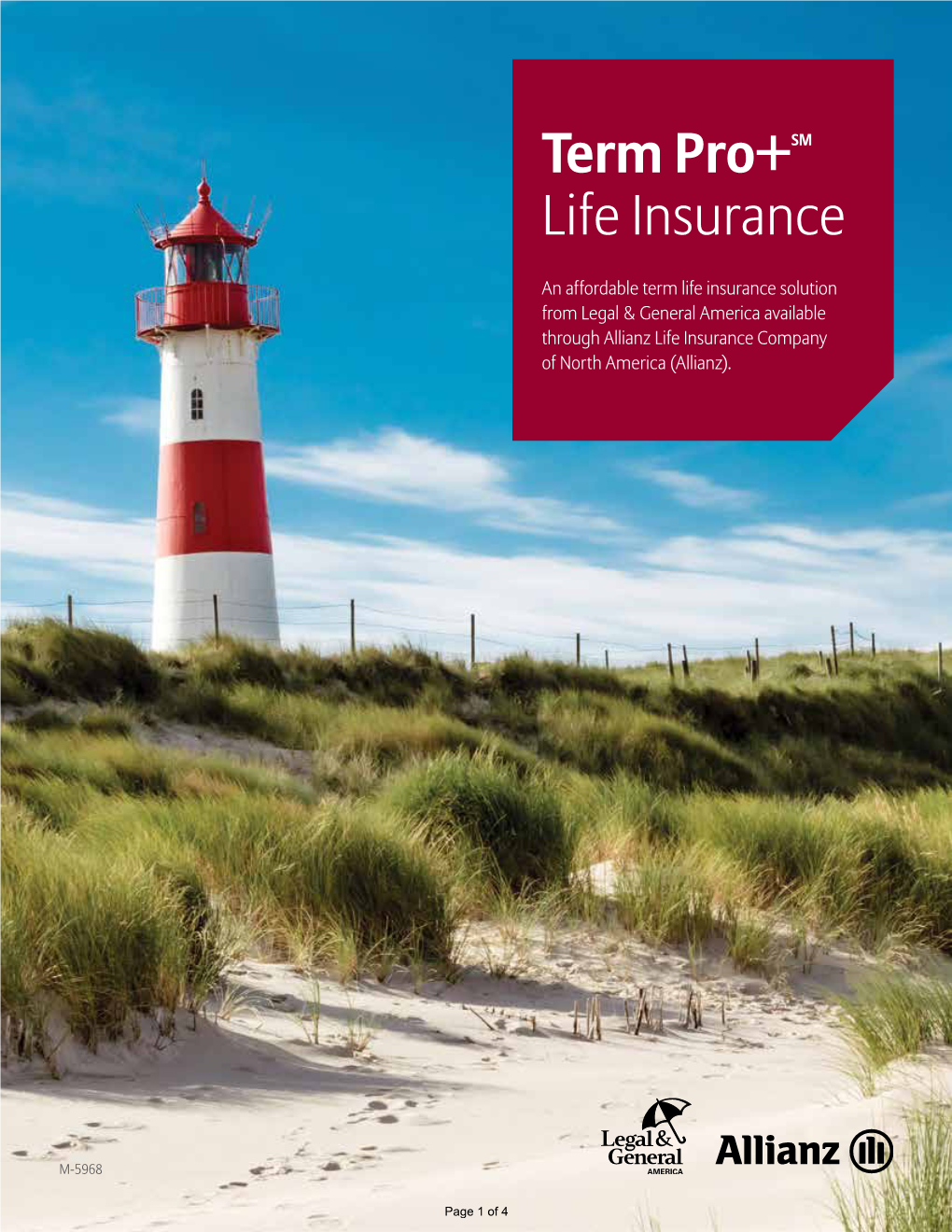 Term Pro+Sm Life Insurance