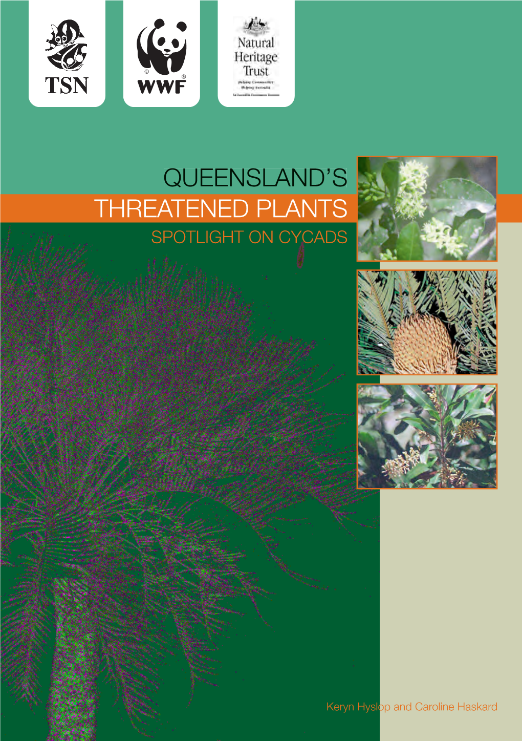 Queensland's Threatened Plants: Spotlight on Cycads