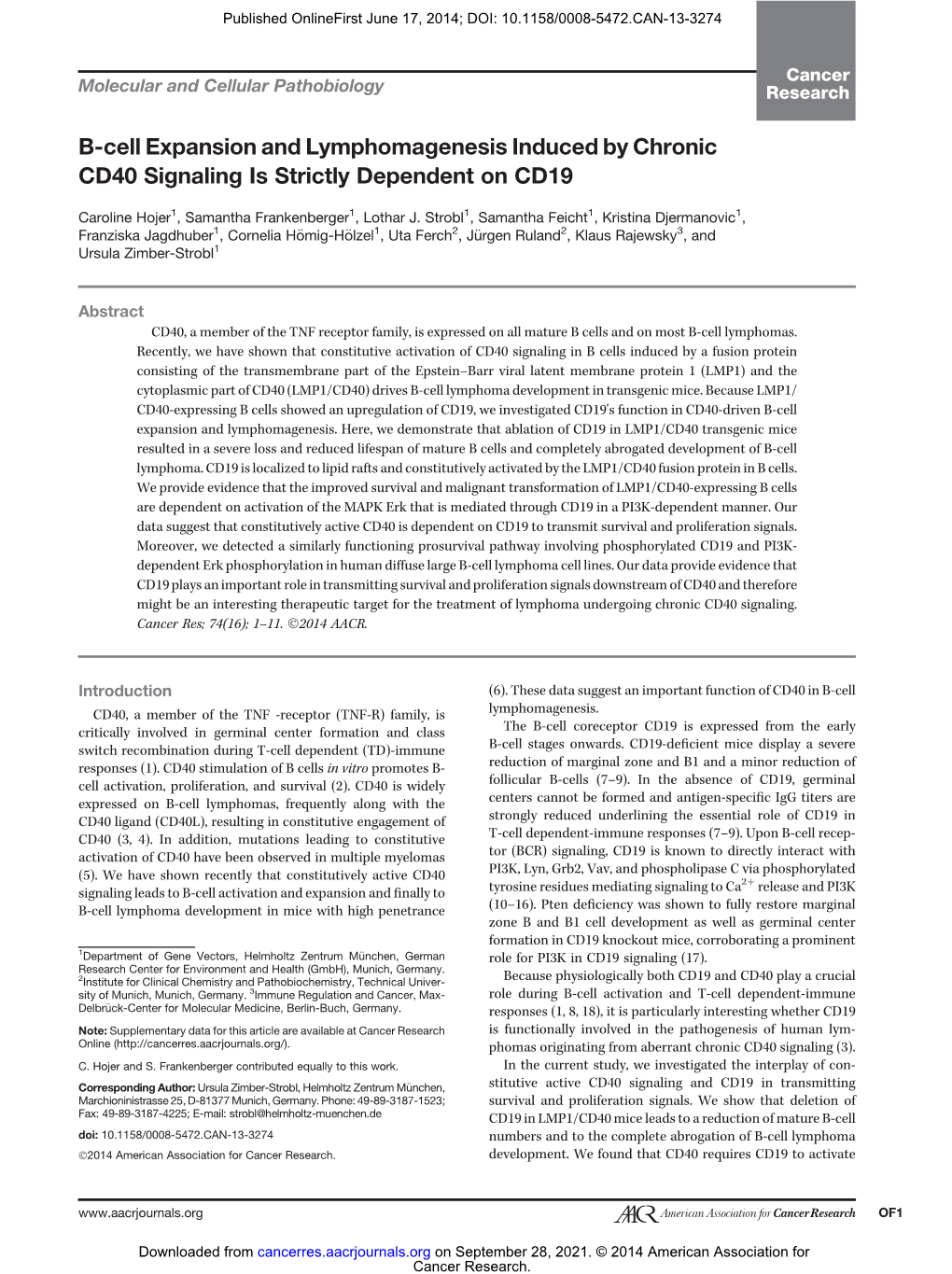 B-Cell Expansion and Lymphomagenesis Induced by Chronic CD40 Signaling Is Strictly Dependent on CD19