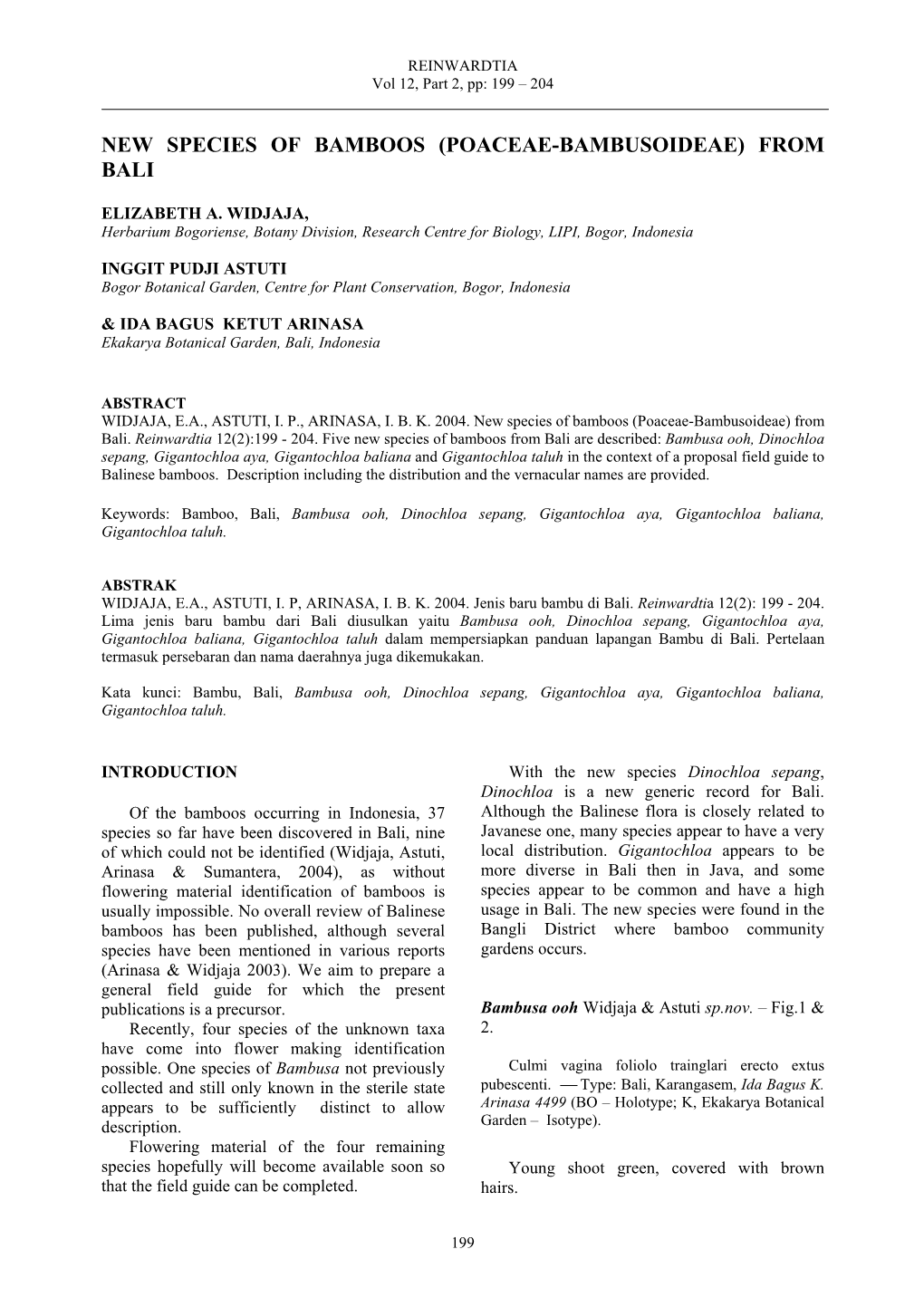 Gigantochloa Aya, Gigantochloa Baliana and Gigantochloa Taluh in the Context of a Proposal Field Guide to Balinese Bamboos