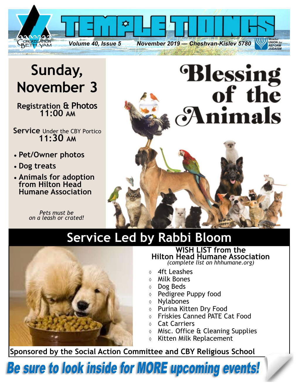 Temple Tidings – November 2019