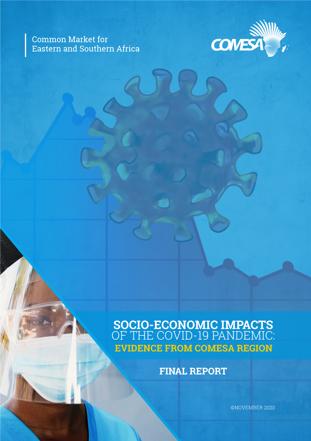 Socio-Economic Impacts of the Covid-19 Pandemic: Evidence from Comesa Region