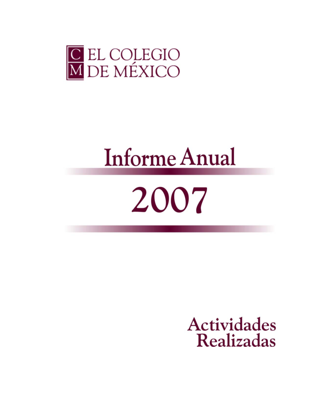 Informe Academico 2007
