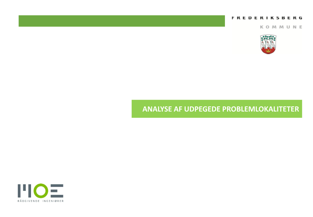 UDPEGEDE PROBLEMLOKALITETER Trafiksikkerhedsplan 2013 2 PROBLEMLOKALITETER