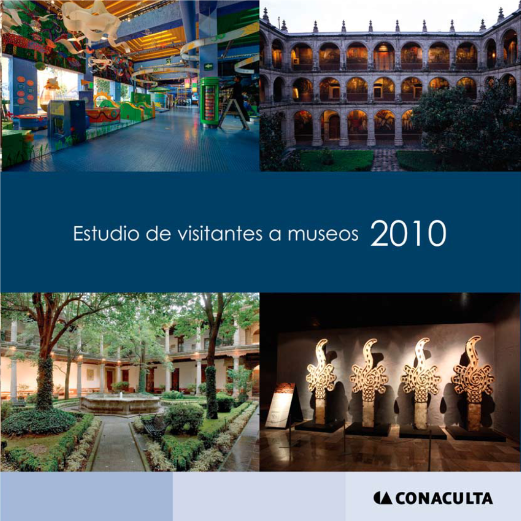 Estudio De Visitantes a Museos 2010