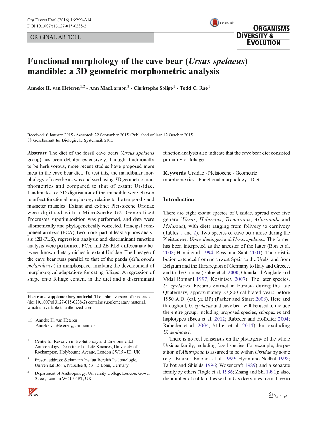 Functional Morphology of the Cave Bear (Ursus Spelaeus) Mandible: a 3D Geometric Morphometric Analysis