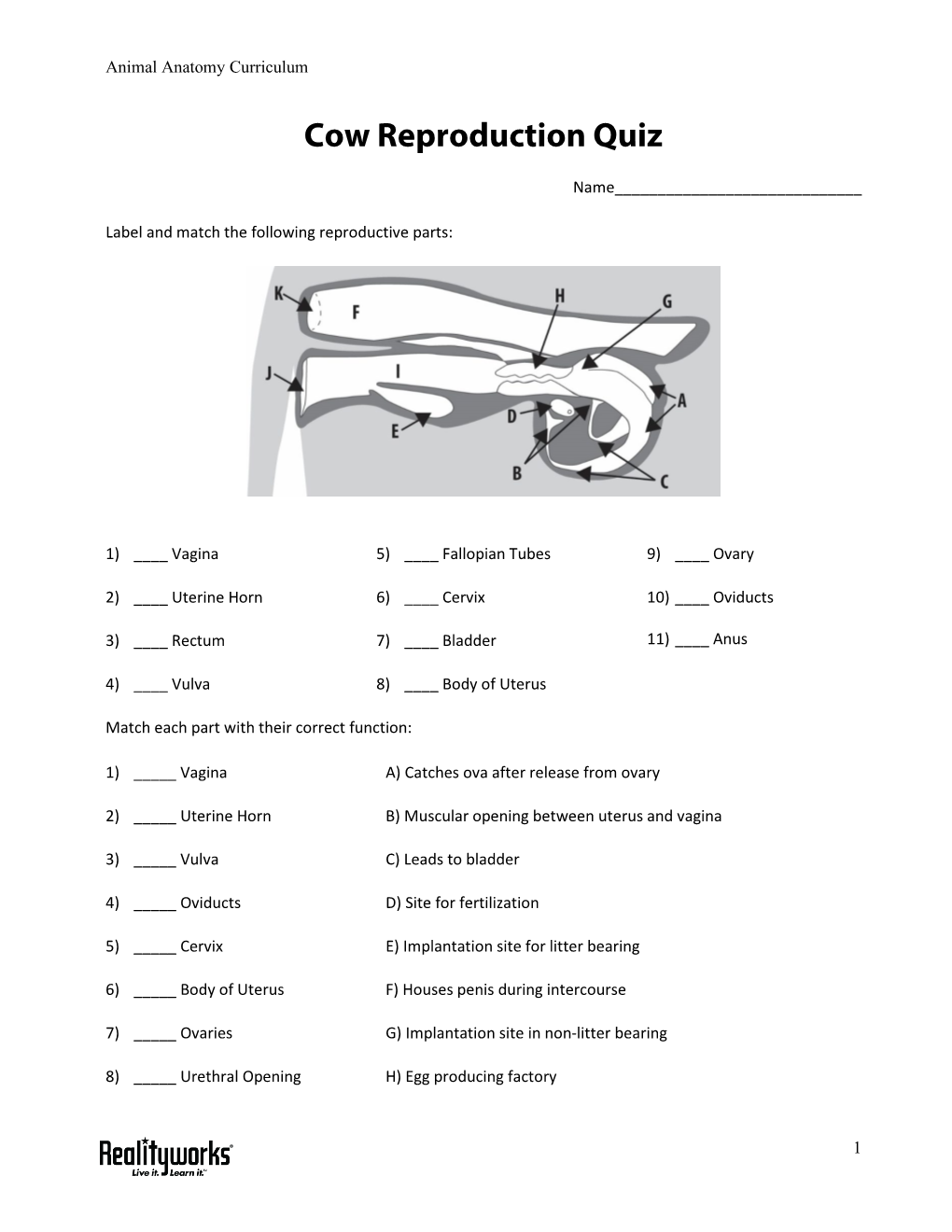 Cow Reproduction Quiz