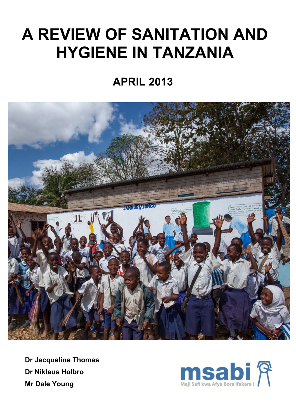 A Review of Sanitation and Hygiene in Tanzania