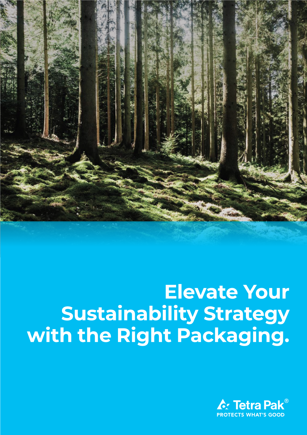 Elevate Your Sustainability Strategy with the Right Packaging