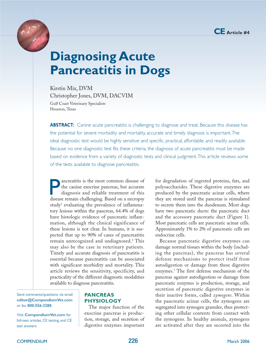 Diagnosing Acute Pancreatitis in Dogs