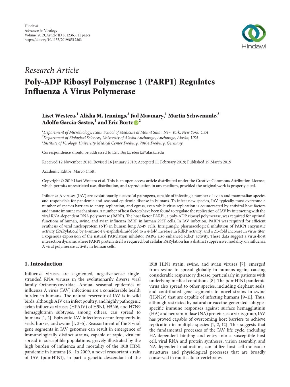 Poly-ADP Ribosyl Polymerase 1 (PARP1) Regulates Influenza a Virus Polymerase