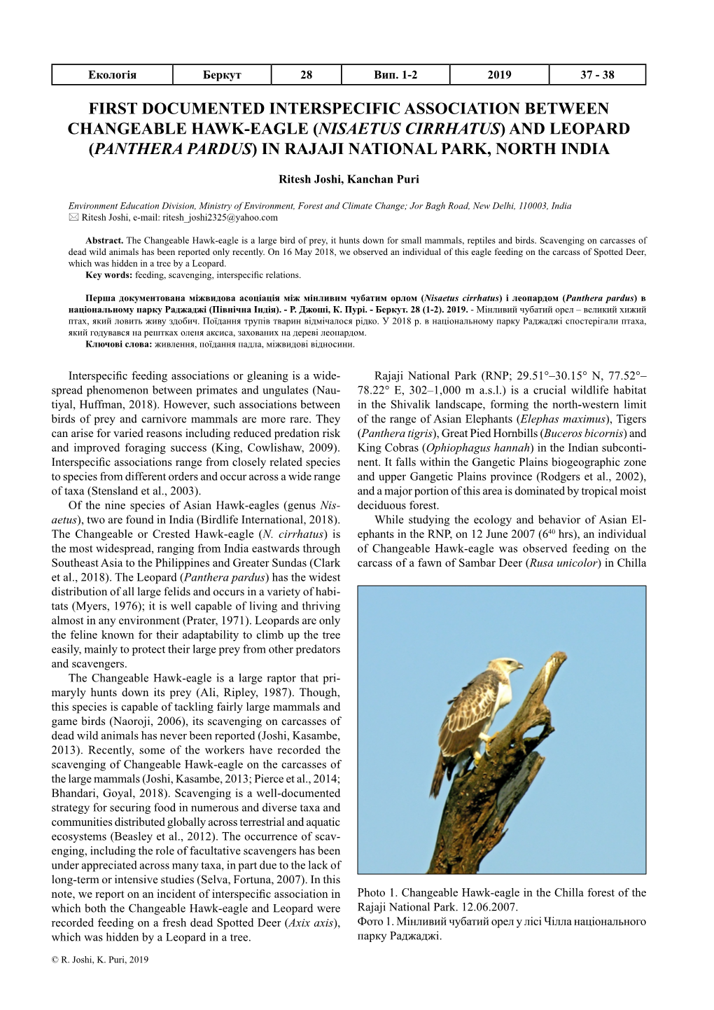 First Documented Interspecific Association Between Changeable Hawk-Eagle (Nisaetus Cirrhatus) and Leopard (Panthera Pardus) in Rajaji National Park, North India