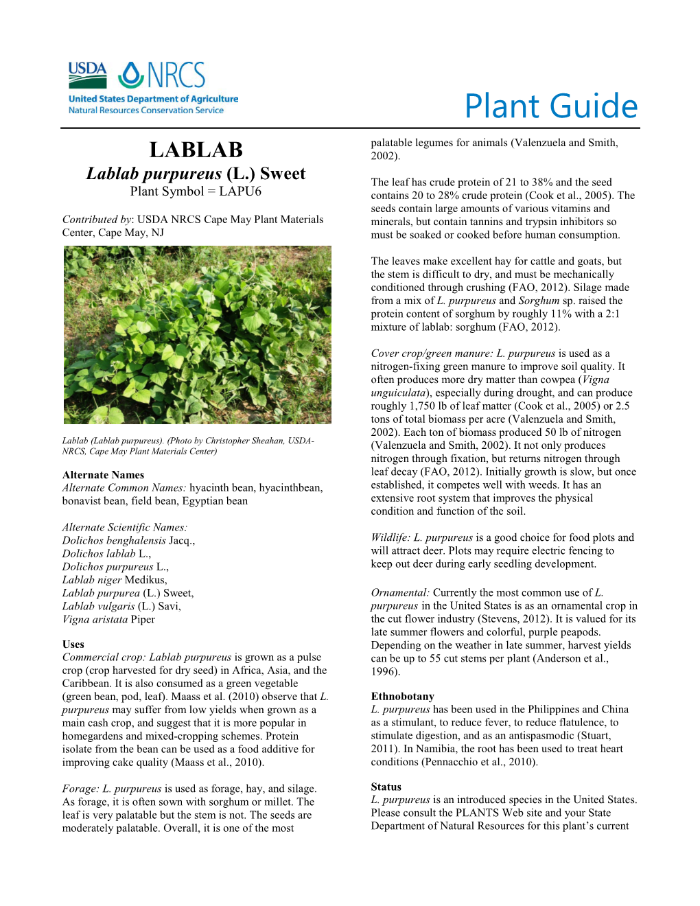 (Lablab Purpureus) Plant Guide