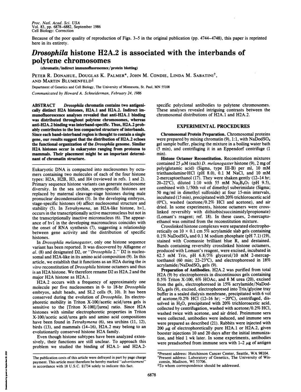 Polytene Chromosomes (Chromatin/Indirect Immunofluorescence/Protein Blotting) PETER R