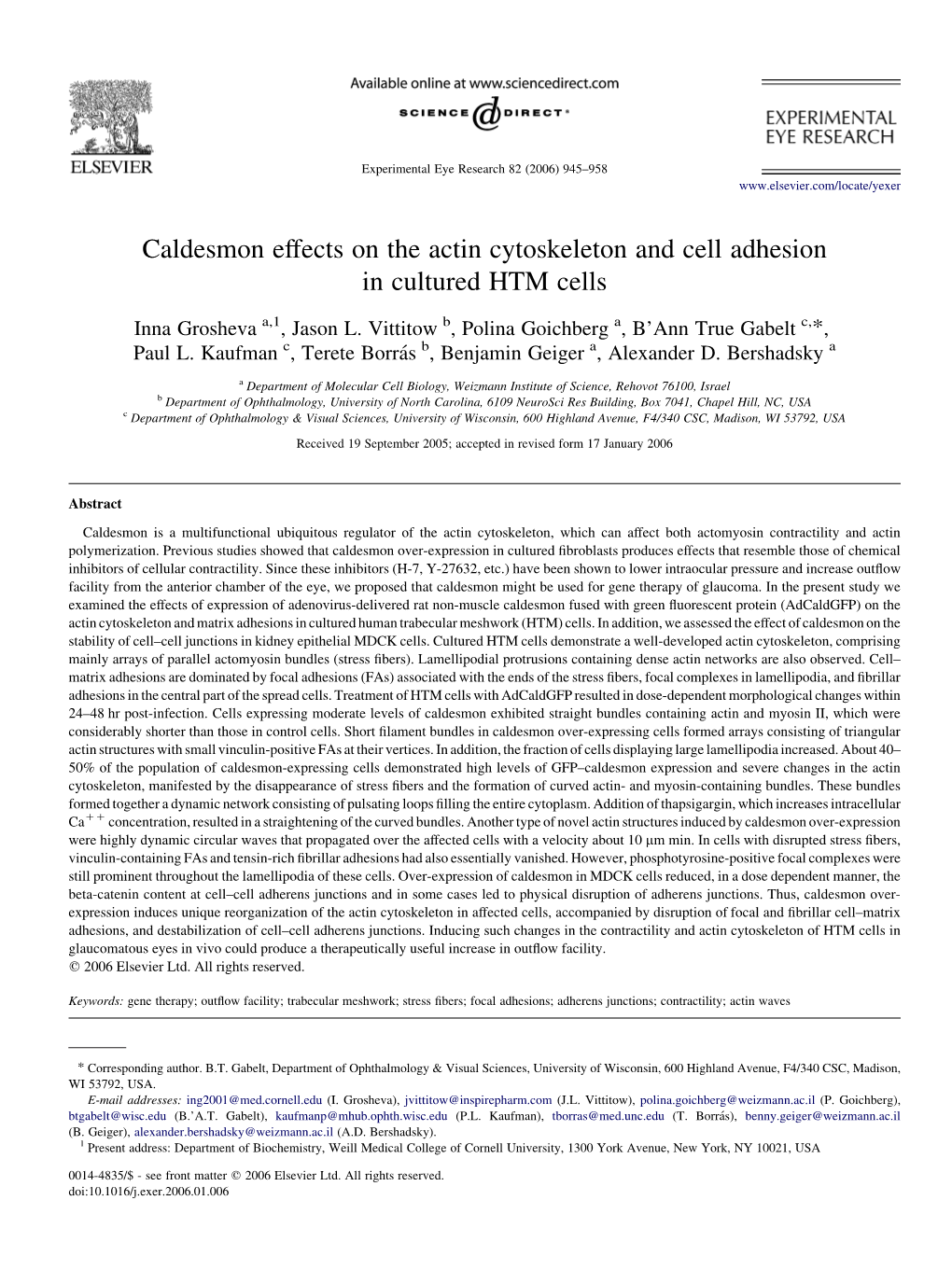 Caldesmon Effects on the Actin Cytoskeleton and Cell Adhesion in Cultured HTM Cells