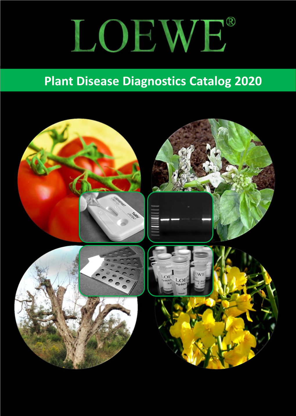 Plant Disease Diagnostics Catalog 2020