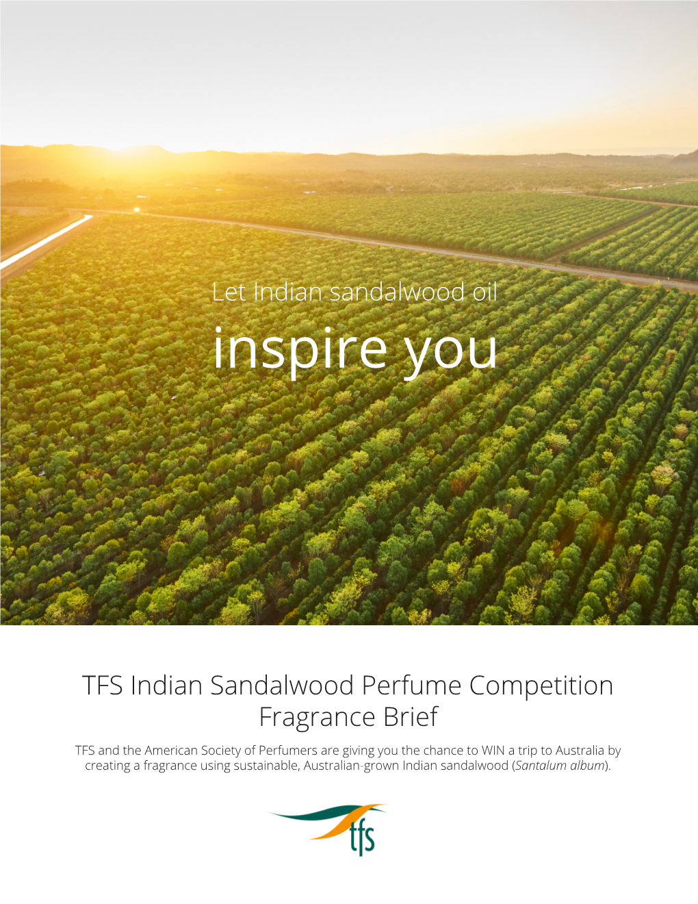 Let Indian Sandalwood Oil Inspire You