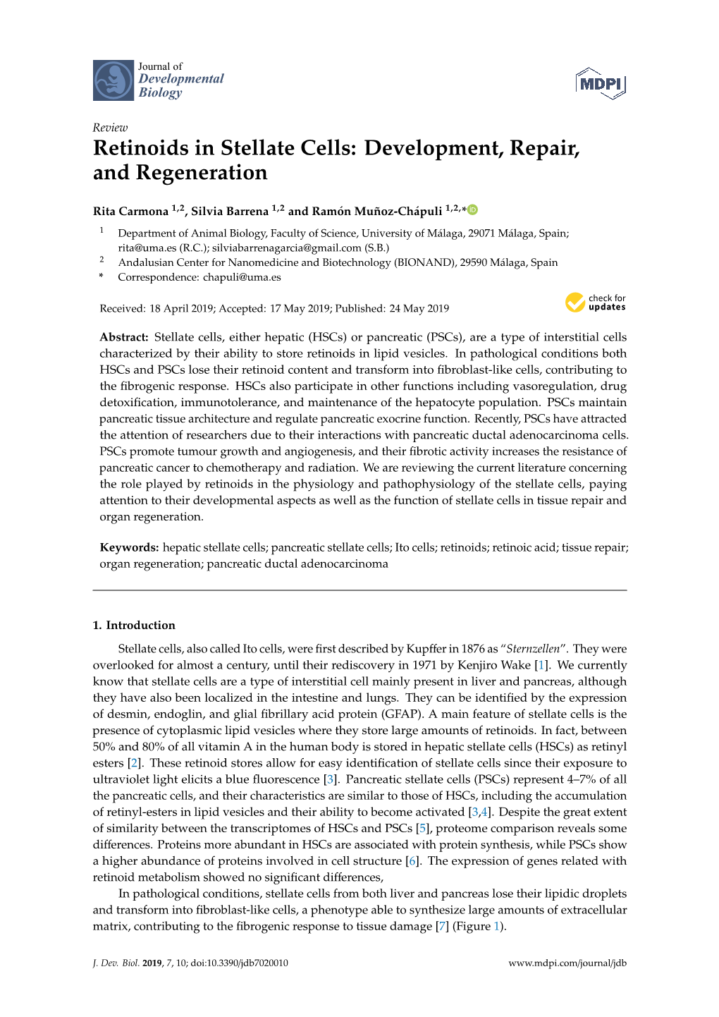 Retinoids in Stellate Cells: Development, Repair, and Regeneration