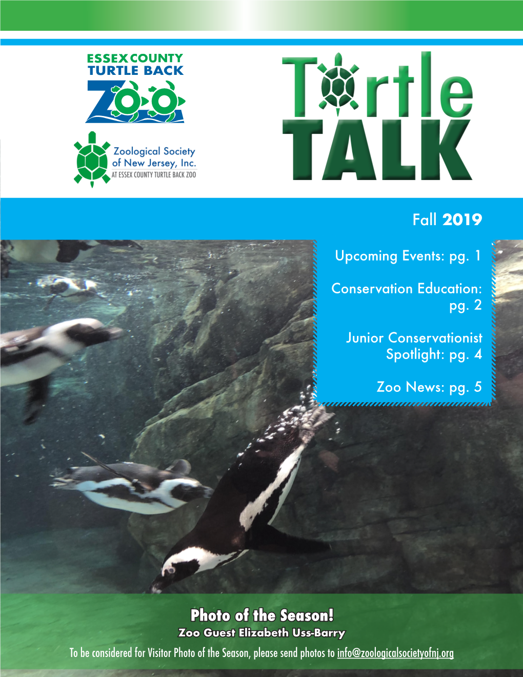 Fall 2019 Turtle Talk