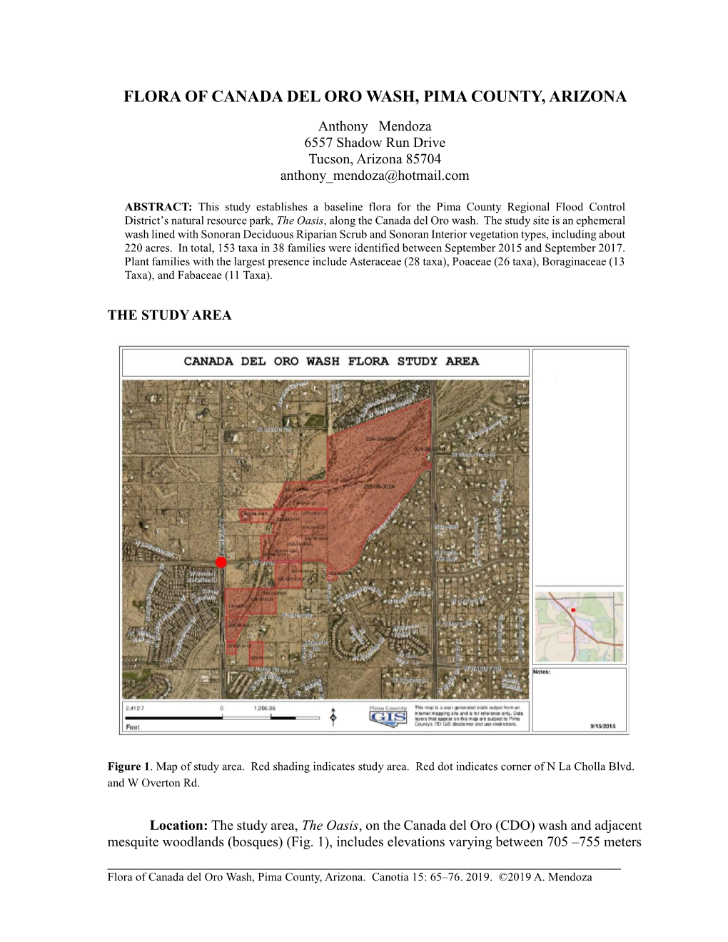 FLORA of CANADA DEL ORO WASH, PIMA COUNTY, ARIZONA Anthony Mendoza 6557 Shadow Run Drive Tucson, Arizona 85704 Anthony Mendoza@Hotmail.Com