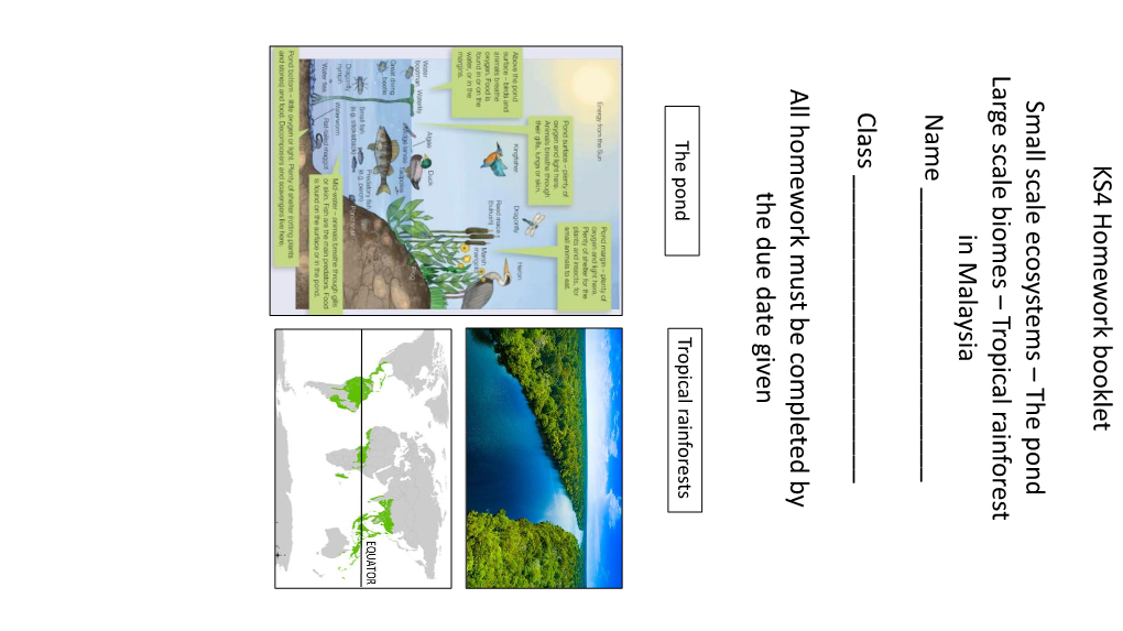 The Pond Large Scale Biomes – Tropical Rainforest in Malaysia Name ______