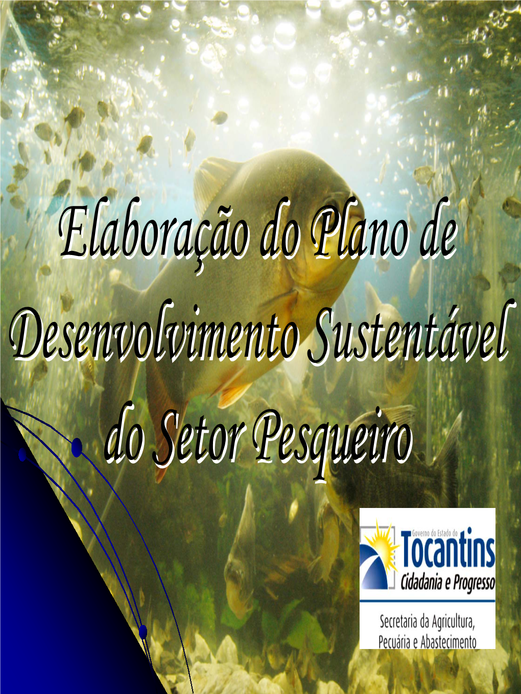 Elaboração Do Plano De Desenvolvimento Sustentável Do