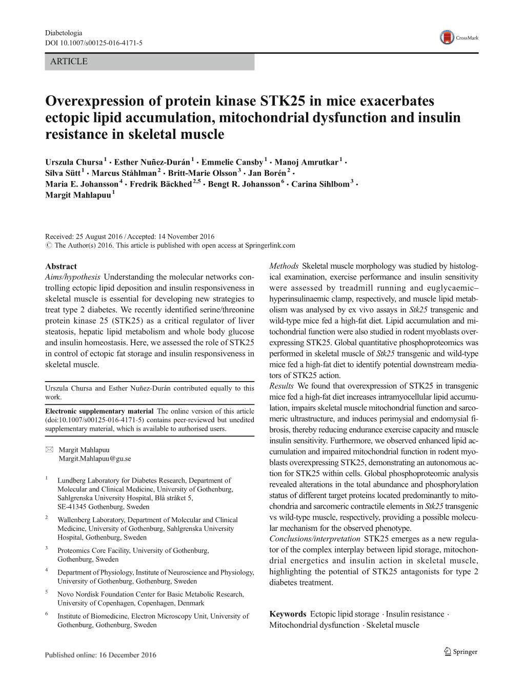 Overexpression of Protein Kinase STK25 in Mice Exacerbates Ectopic Lipid Accumulation, Mitochondrial Dysfunction and Insulin Resistance in Skeletal Muscle