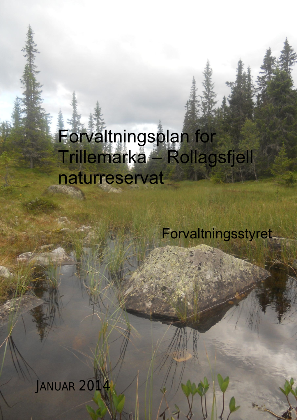 Forvaltningsplan for Trillemarka – Rollagsfjell Naturreservat