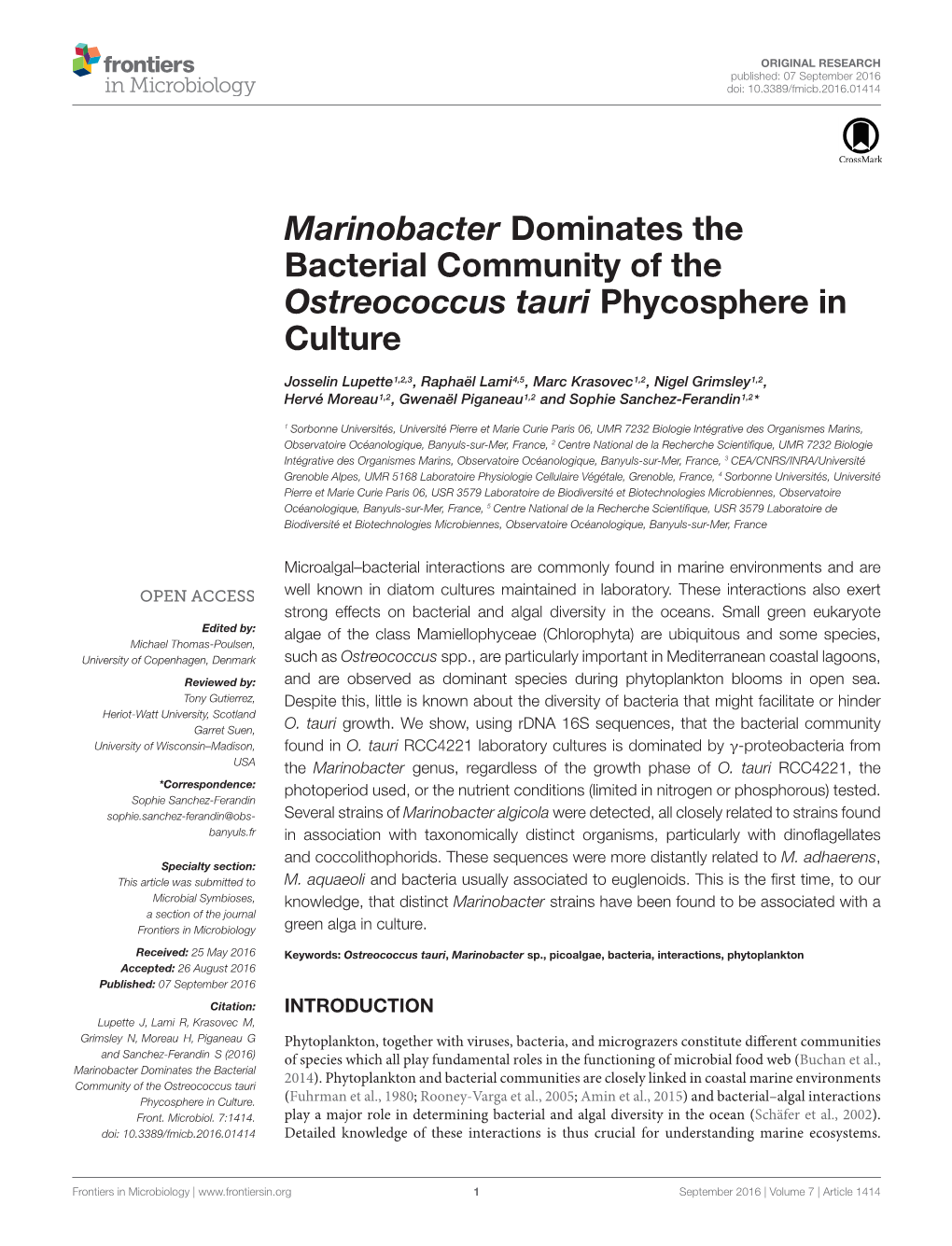 Marinobacter Dominates the Bacterial Community of the Ostreococcus Tauri Phycosphere in Culture