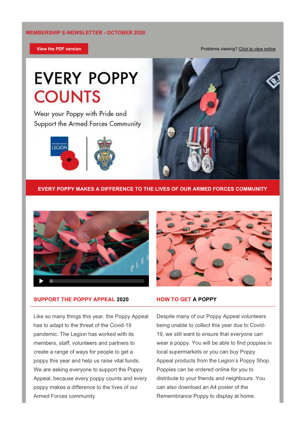 SUPPORT the POPPY APPEAL 2020 Like So Many Things This Year