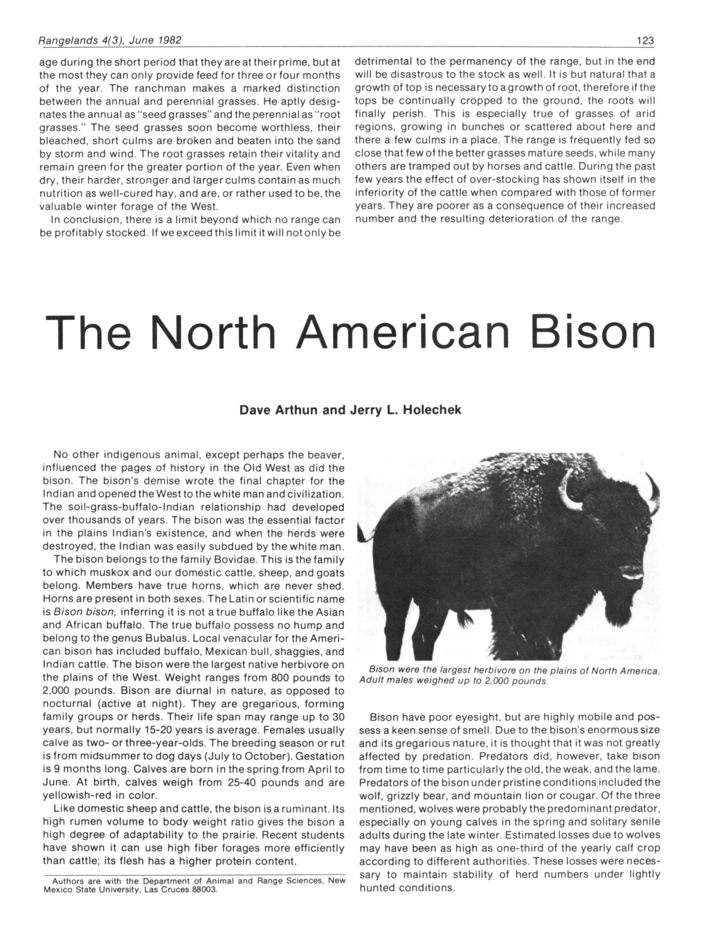 The North American Bison