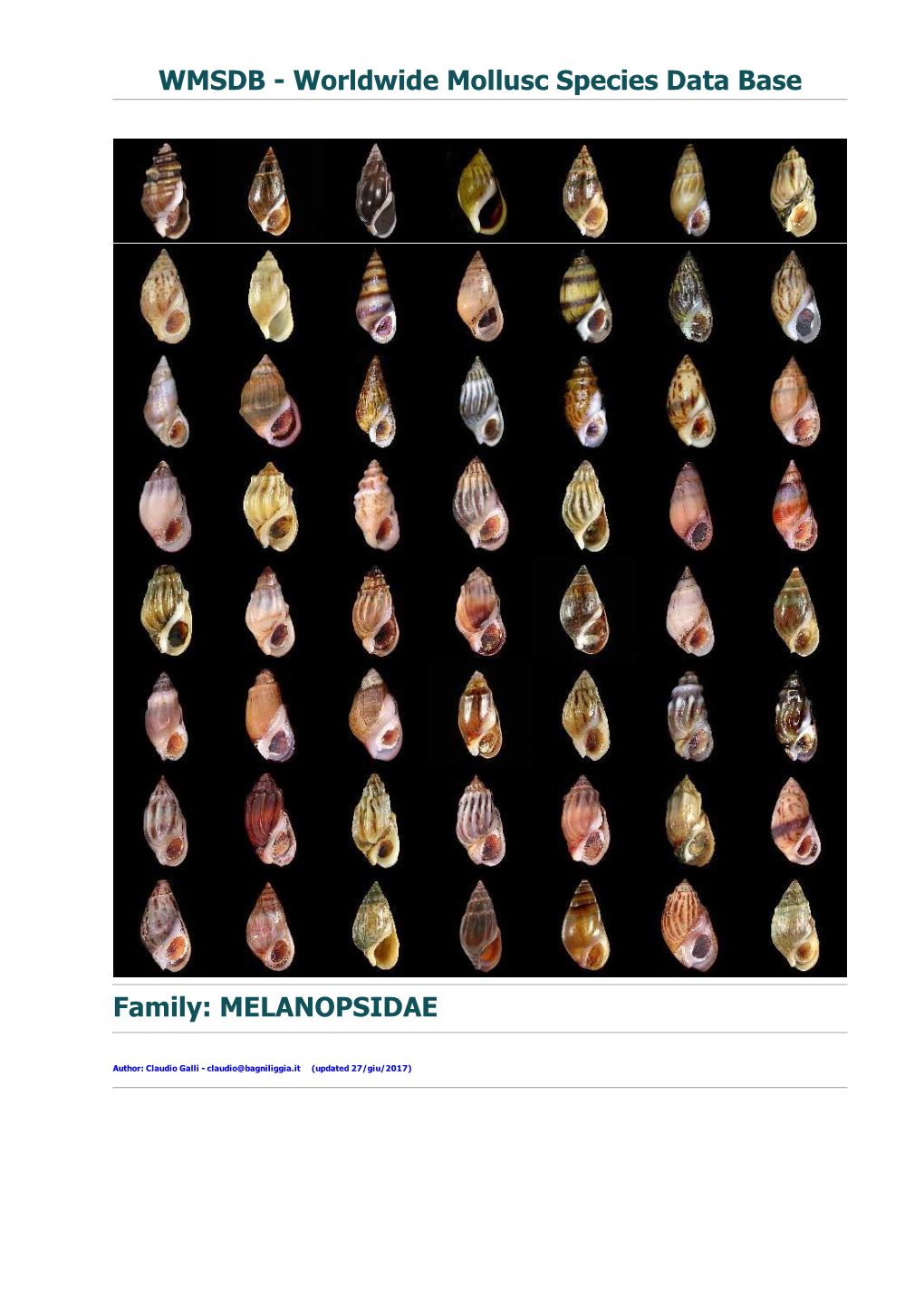 Melanopsidae