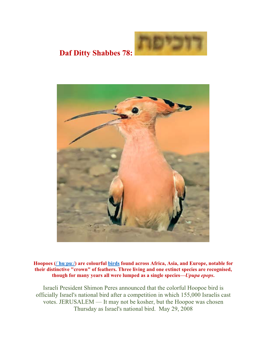 Daf Ditty Shabbes 78