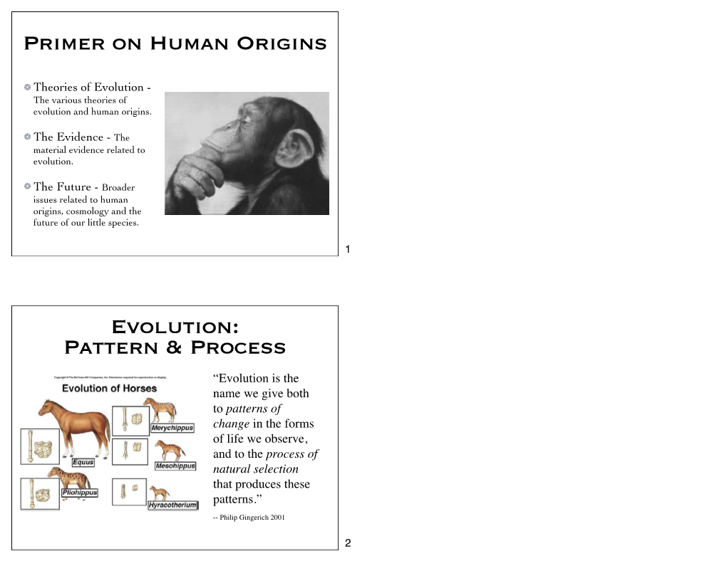 Primer on Human Origins Evolution: Pattern & Process