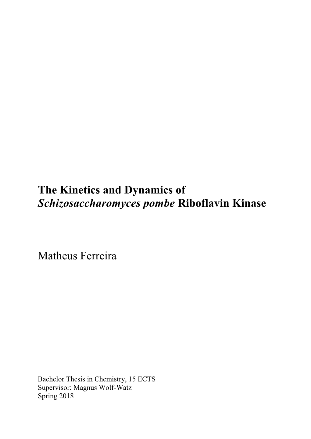 The Kinetics and Dynamics of Schizosaccharomyces Pombe Riboflavin Kinase