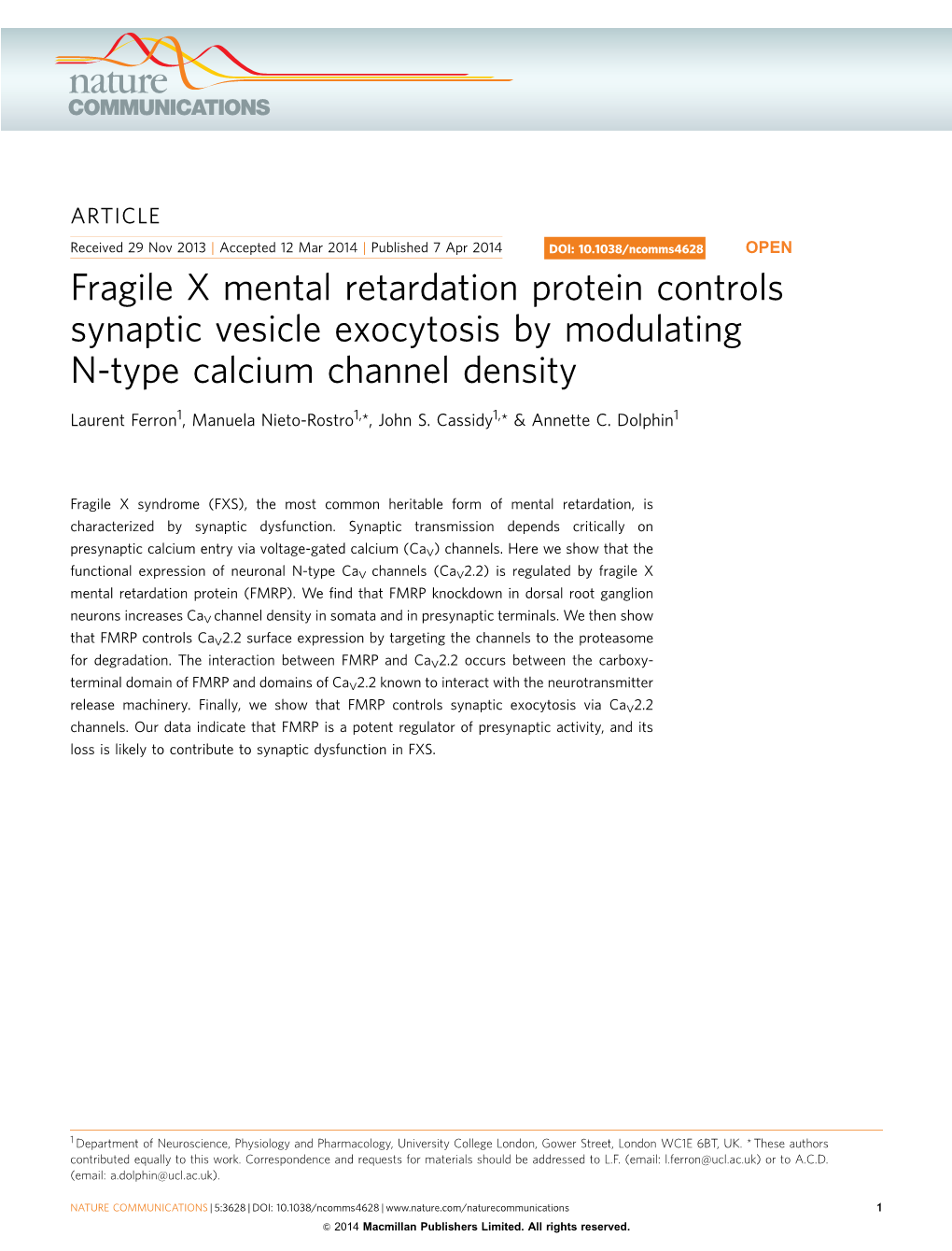 Fragile X Mental Retardation Protein Controls Synaptic Vesicle Exocytosis by Modulating N-Type Calcium Channel Density